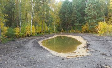 Ersatzlaichgewsser Burgneudorf